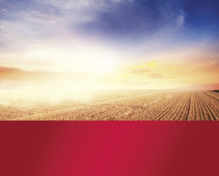 -Arable-contractors-move-into-muck-and-maize-REP-2-2010