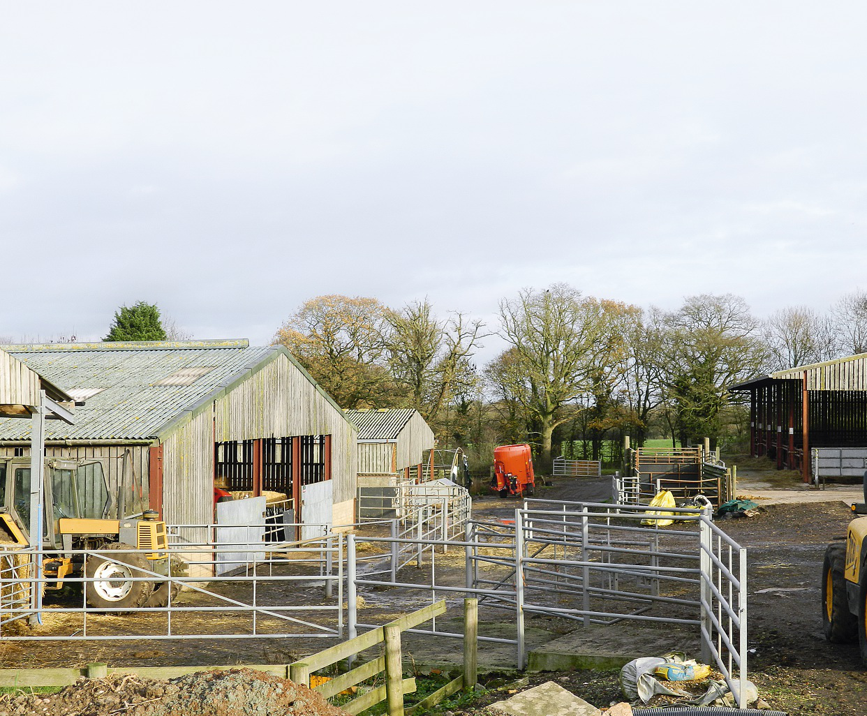 Beef cattle move on to slats with mats Profi