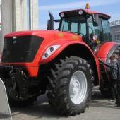 Belarus-beast-from-the-east-8947966_1