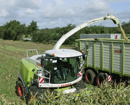 Claas--Jaguar-980-di-05-2008