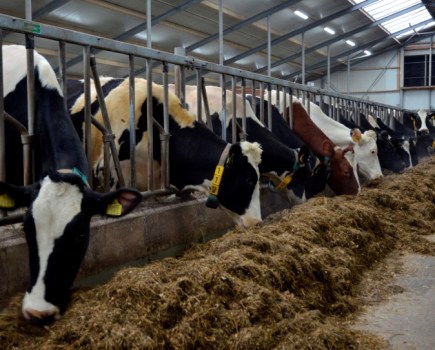 Dairy-farmers-keen-to-lower-production-costs-9084855_0