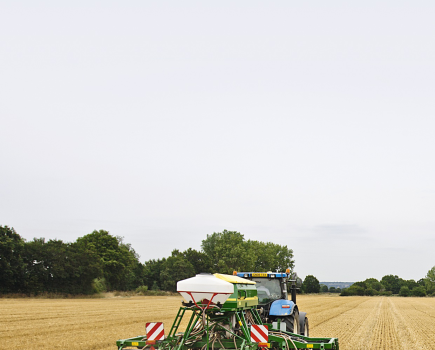 -Finding-the-magic-crop-establishment-numbers-MM-10-2015