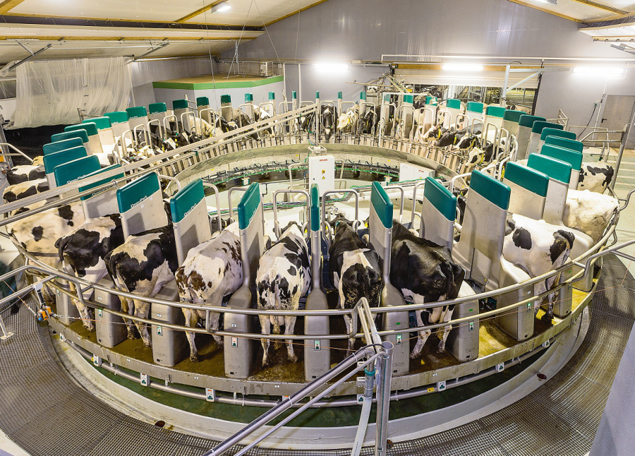 -Gea-Farm-Technologies-DairyProQ-LSTK-10-2015
