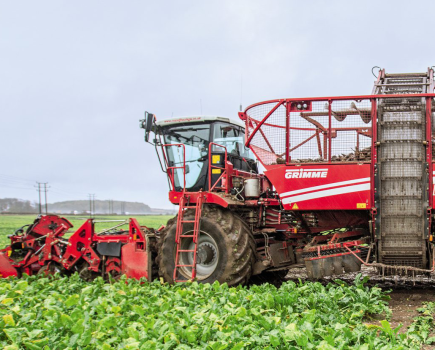 Grimme-Rexor-630-sugar-beet-harvester-di-02-2017