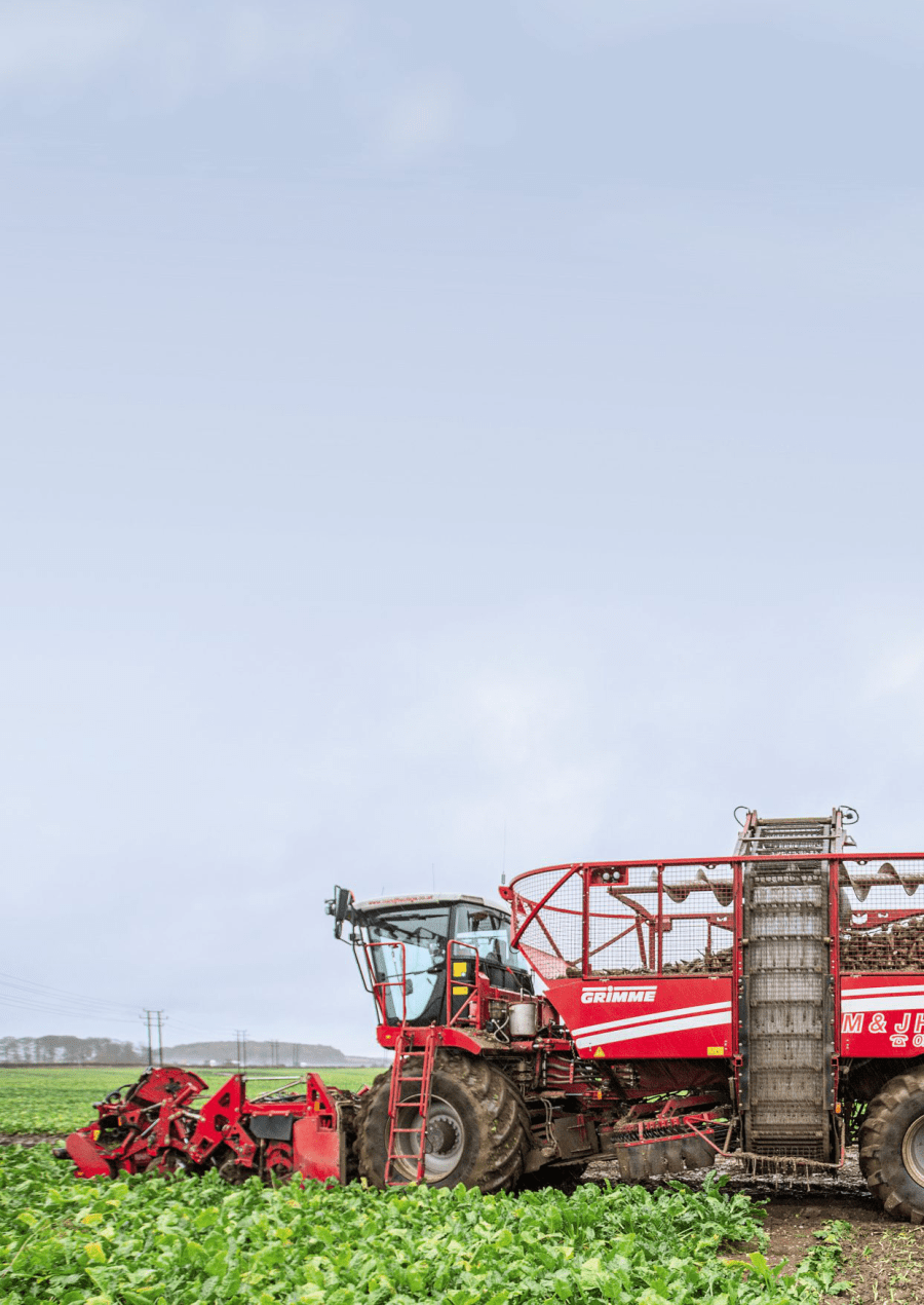 Grimme-Rexor-630-sugar-beet-harvester-di-02-2017