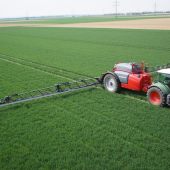 Growth-at-Horsch-and-a-positive-outlook-2835920_2
