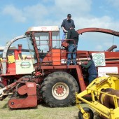 Harvesting-record-in-pictures-8191646_17