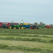 Harvesting-record-in-pictures-8191646_19