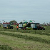 Harvesting-record-in-pictures-8191646_42