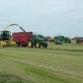 Harvesting-record-in-pictures-8191646_6