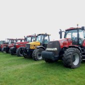 Increase-in-number-of-on-farm-dispersal-sales-8406058_2