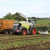 Increased-output-for-top-end-Claas-Jaguars-5307276_4