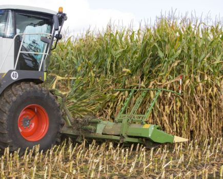 Krone-releases-maize-header-for-other-brands-8438582_0