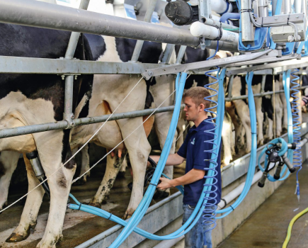 -Making-the-change-from-beef-to-dairy-production-LSTK-11-2016