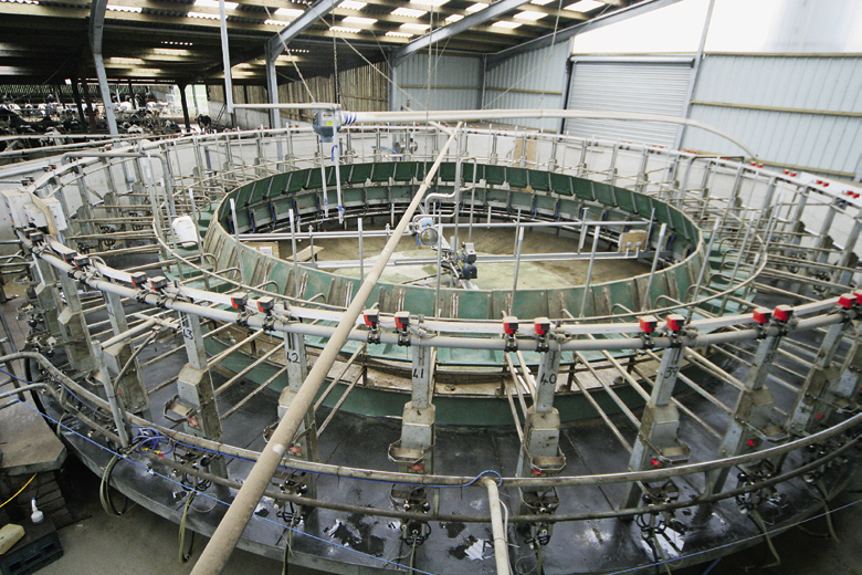 -Milking-machine-maintenance-LSTK-5-2007