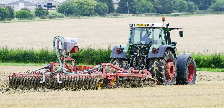 -Oilseed-rape-establishment-MM-10-2014