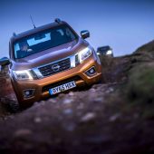 Pick-ups-on-parade-2823816_0
