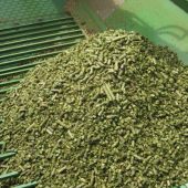 Power-from-the-pellet-3814601_4