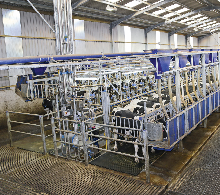 -Rapid-exit-milking-parlour-LSTK-06-2015