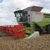 Roll-on-Harvest-2017-4217626_0