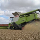 Roll-on-Harvest-2017-4217626_1
