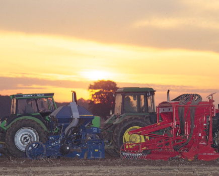 Selection-Accord,-Rabe,-Rau-pt-10-1996