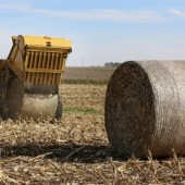Self-propelled-baler-in-the-maize-8912709_1