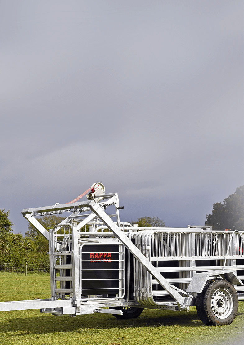 Sheep handling equipment Profi