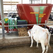 Shorter-mixing-times-for-Strautmann-feeders-3528653_0