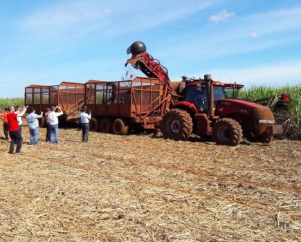 Sweet-tour-of-Brazil-s-sugar-cane-sector-8309659_0