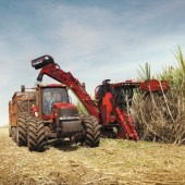 Sweet-tour-of-Brazil-s-sugar-cane-sector-8309659_1