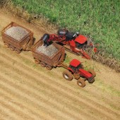 Sweet-tour-of-Brazil-s-sugar-cane-sector-8309659_2