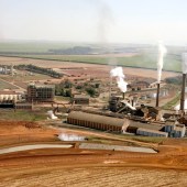 Sweet-tour-of-Brazil-s-sugar-cane-sector-8309659_3
