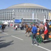 TechAgro-Plenty-to-see-at-Czech-farm-machinery-show-2923818_11