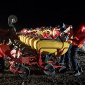 Vaederstad-establishes-new-maize-drilling-record-8102676_4