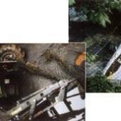 disaster_gallery_1997_1
