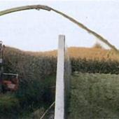 disaster_gallery_1997_10
