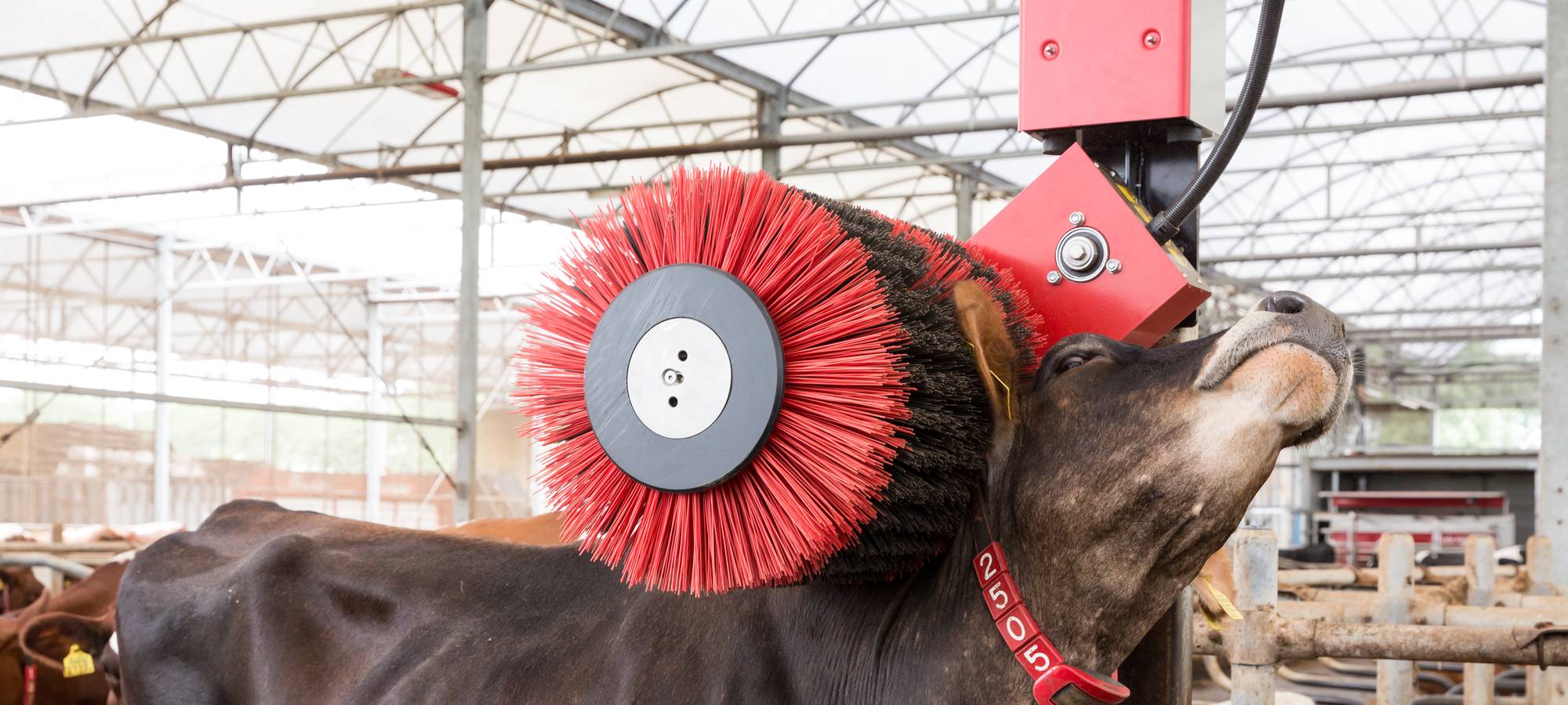 Lely updates Luna rotating cow brush Profi