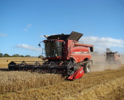 farm_4