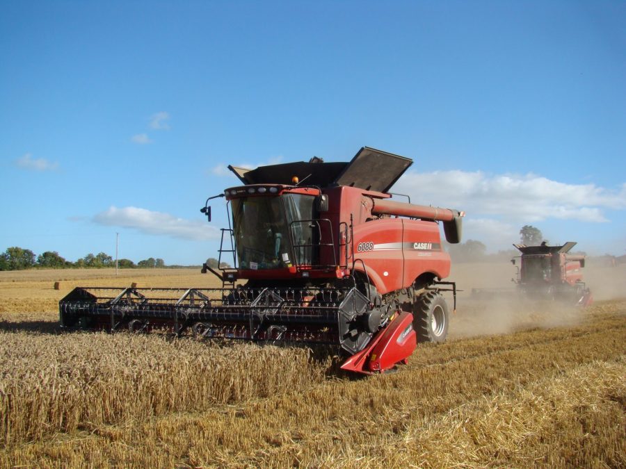 farm_4