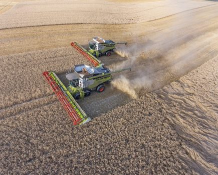 A pair of Lexion 780TT models with 13.5m headers