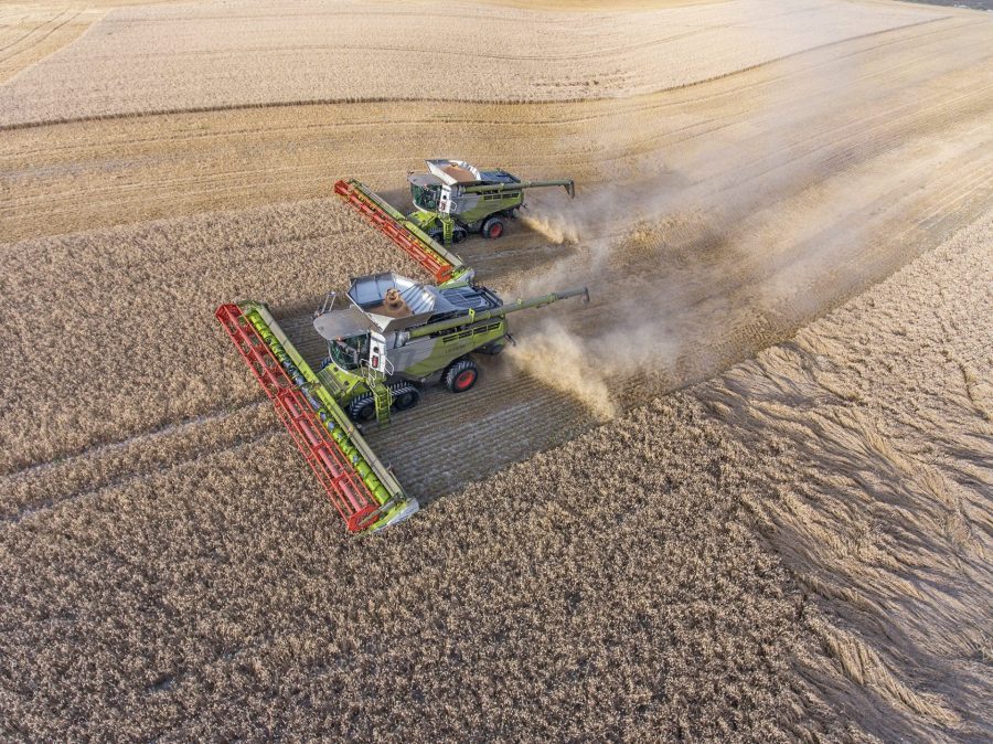 A pair of Lexion 780TT models with 13.5m headers