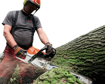 profi_sep_27_stihl_ms_462_chainsaw