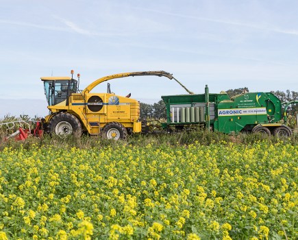 56-maize_harvesting_into_round_bales