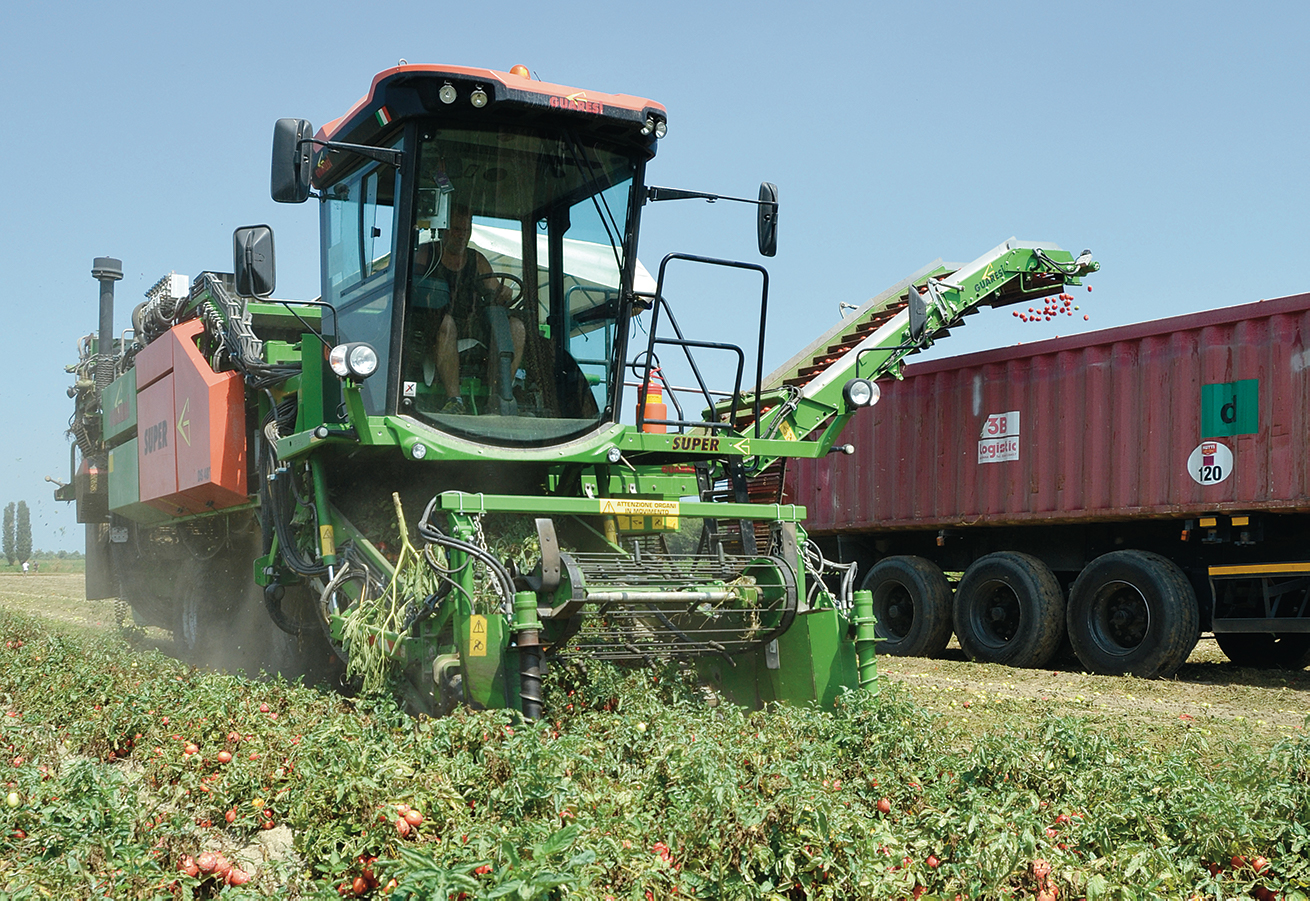 Guaresi tomato harvesters The red harvest Profi
