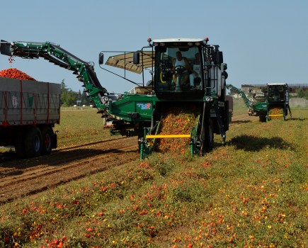 76-mts_tomato_harvesters