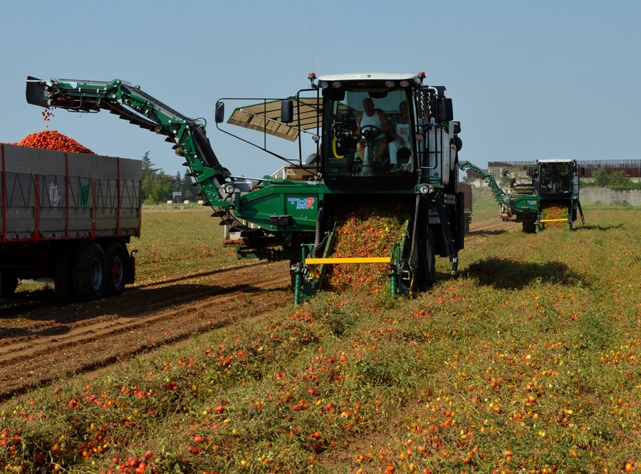 76-mts_tomato_harvesters