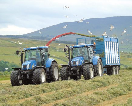 McHale Profi subs offer