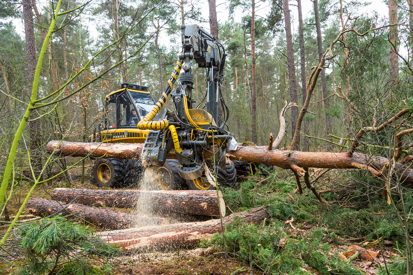 How it works … The timber harvester head Profi