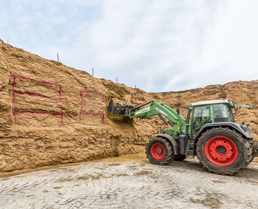 052-054_livestock_maize_silage